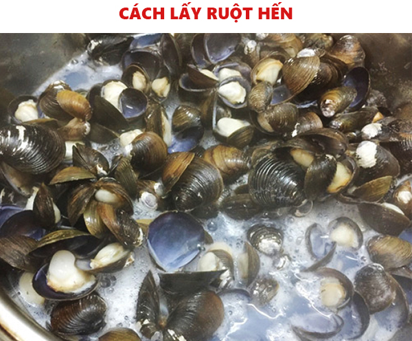 Cách lấy ruột hến