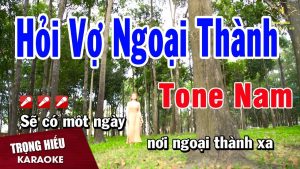 Nhạc Không Lời Hỏi Vợ Ngoại Thành