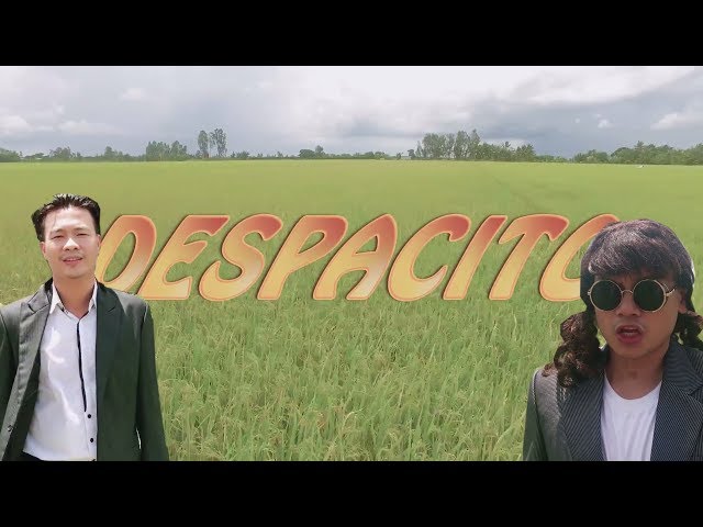 DESPACITO - Lưu Minh Tài Ft. Mạnh Cường (Cover)