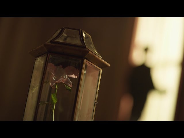 Fake Love (Extended Version) - BTS (Official MV)