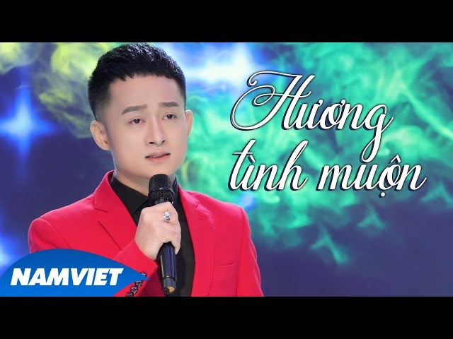 Hương Tình Muộn - Trịnh Nam Phương