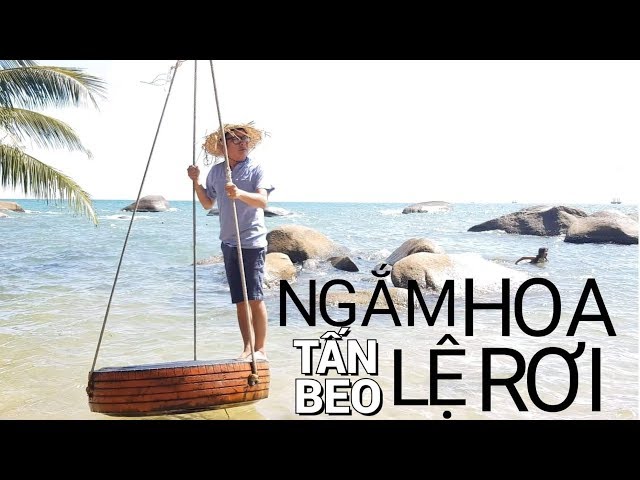 Ngắm Hoa Lệ Rơi - Tấn Beo (Parody)