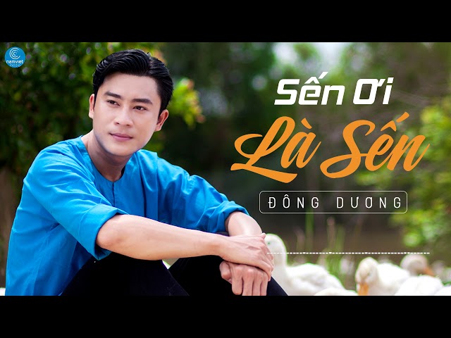 Sến Ơi Là Sến - Đông Dương (Audio Official)