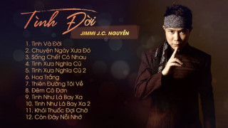 Album "Tình Đời"