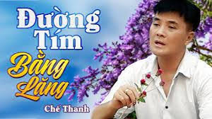 Đường Tím Bằng Lăng
